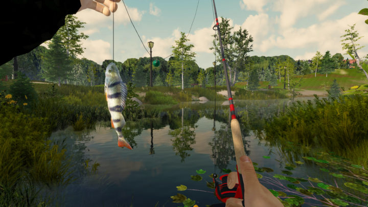 Simulátor rybaření Fishing Adventure má datum vydání pro konzole Xbox