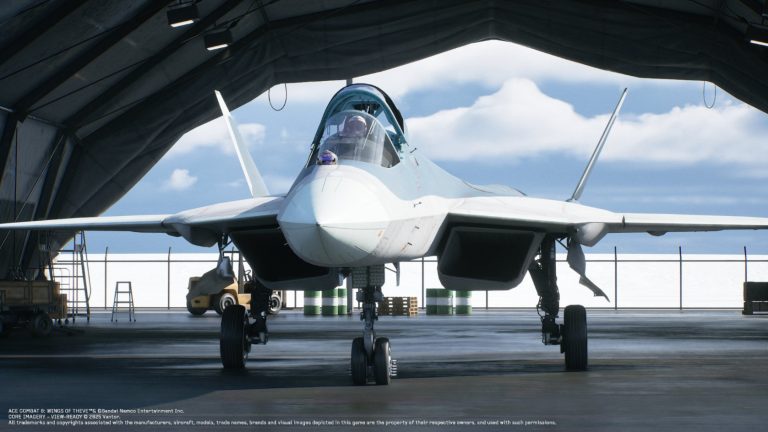 Ace-Combat-8-Felon
