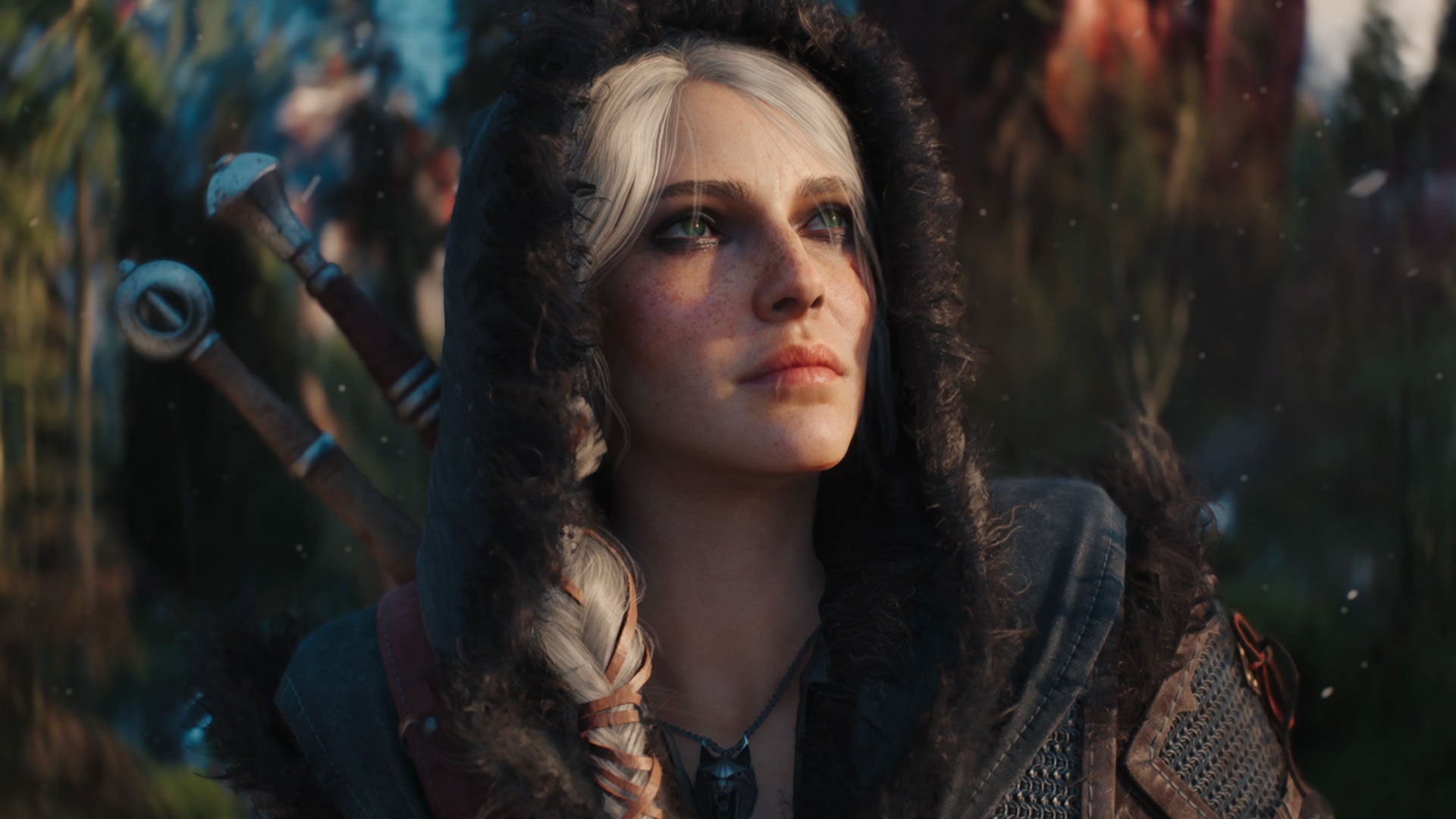 witcher 4